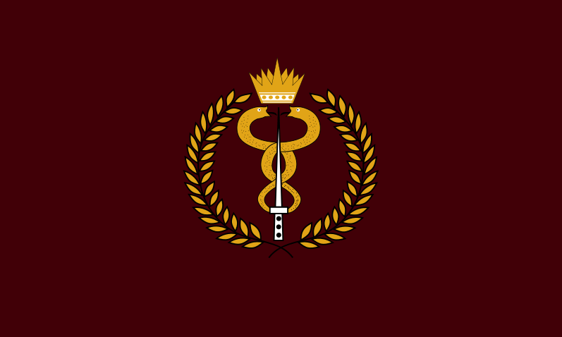 [Bahraini Defence Force: Royal Medical Services Flag]